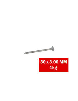 CLOU GALVA 30X3.00MM TL -1KG-