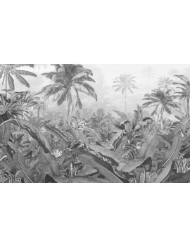 PHOTOMURAL 400X250CM AMAZONIA B N W