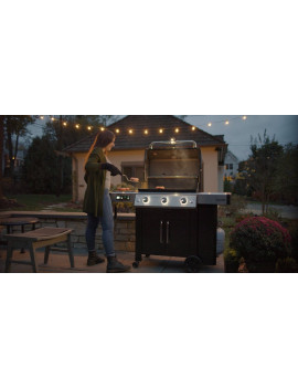 BBQ GENESIS II EX-315 GBS