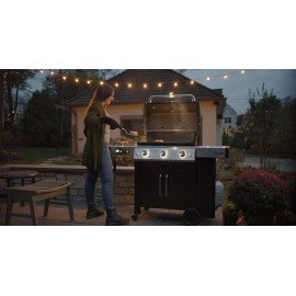 BBQ GENESIS II EX-315 GBS