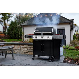 BBQ GENESIS II EX-315 GBS