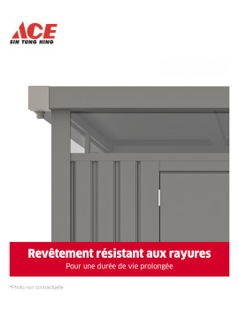ABRI DE JARDIN 230X230X222CM GRIS FONCE