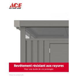 ABRI DE JARDIN 230X230X222CM GRIS FONCE