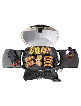 Barbecue série Q3000 à gaz | Titane - WEBER