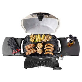 Barbecue série Q3000 à gaz | Titane - WEBER