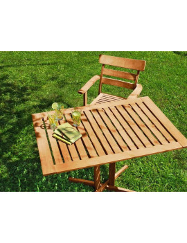 Huile pour mobiliers en teck incolore - V33