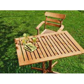 Huile pour mobiliers en teck incolore - V33