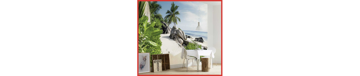 Décoration Intérieur