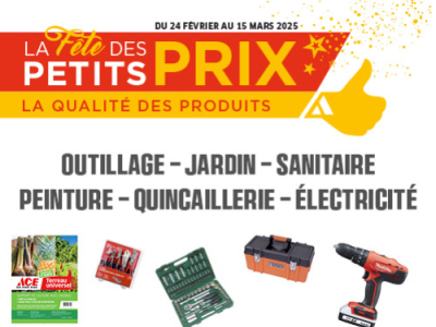 ACE Actus - Catalogue "Fête des Petits Prix" disponible maintenant